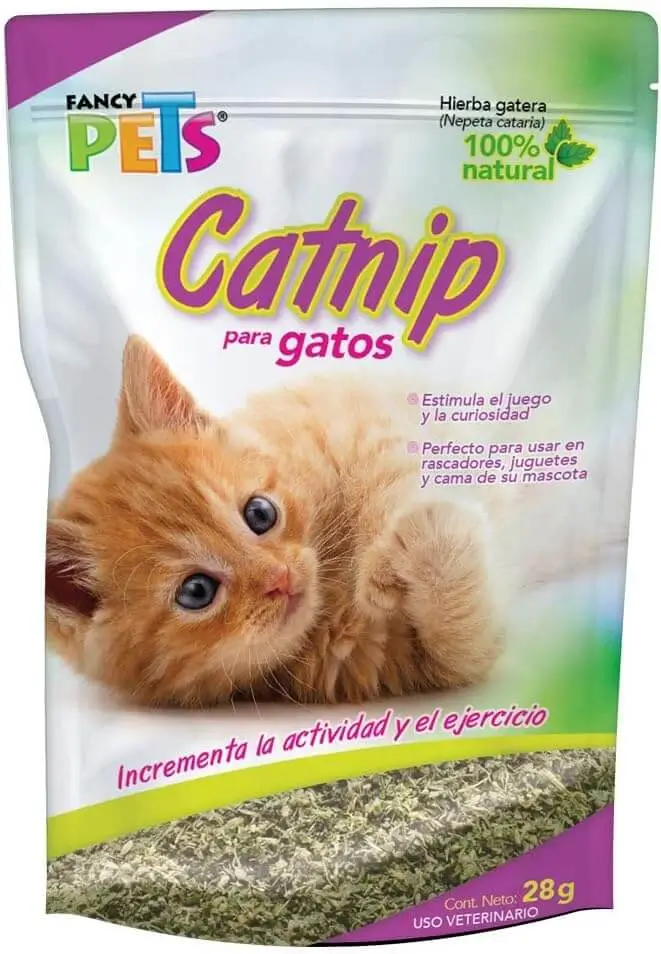 Catnip para gatos 